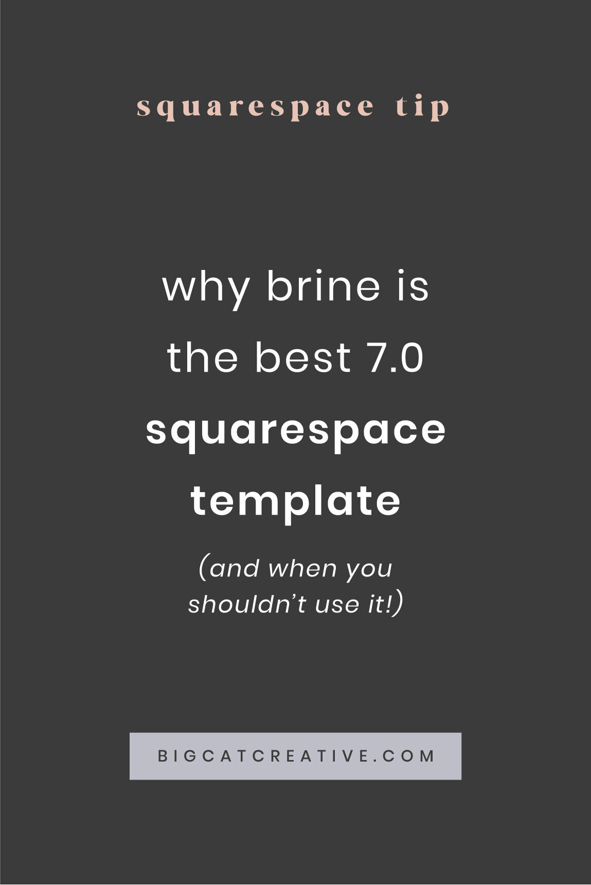 Detail Brine Template Squarespace Nomer 22