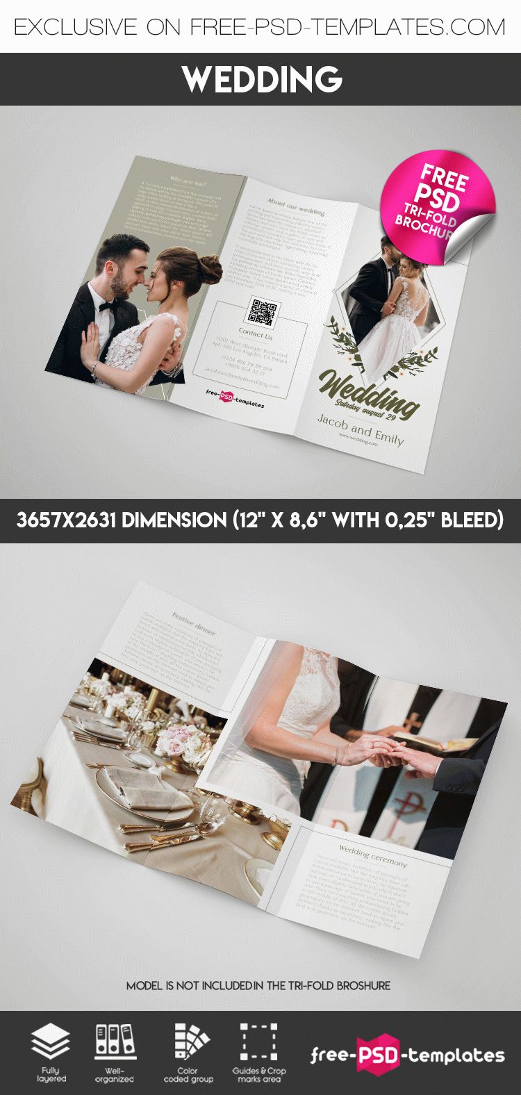 Detail Brochure Template Psd Tri Fold Nomer 36