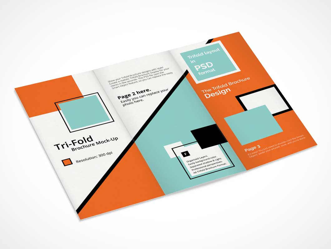 Detail Brochure Template Psd Tri Fold Nomer 39