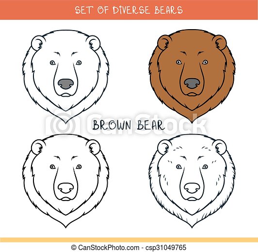 Detail Brown Bear Face Template Nomer 11