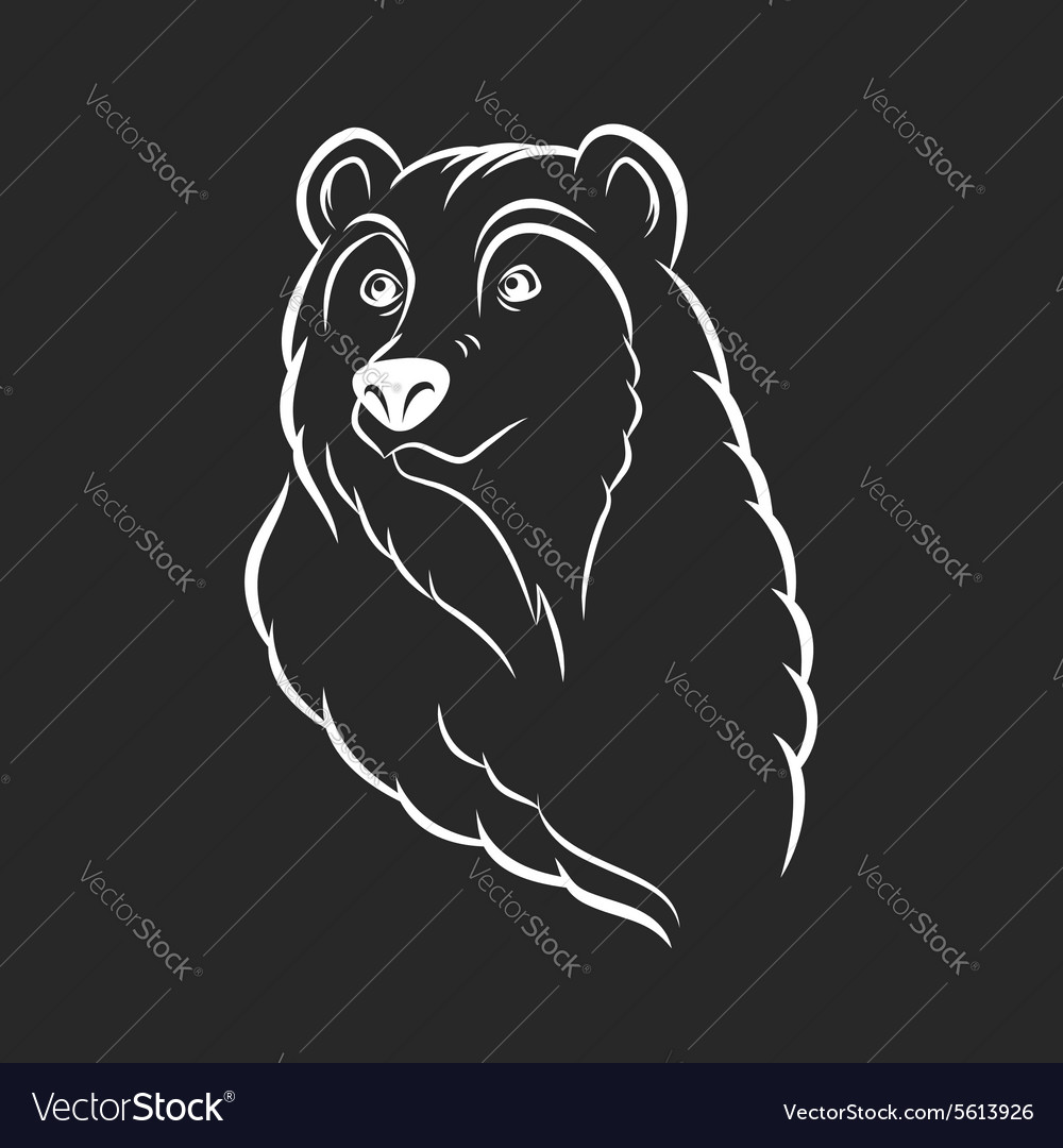 Detail Brown Bear Face Template Nomer 29