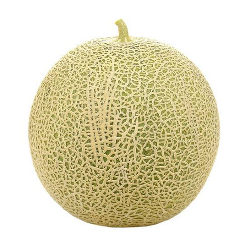Detail Buah Melon Adalah Nomer 13