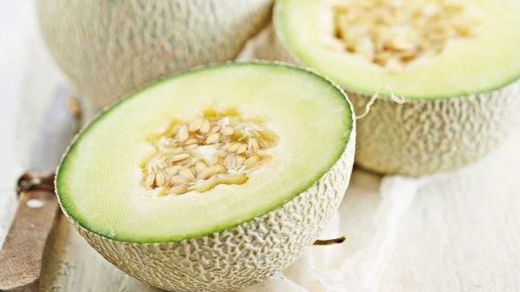 Detail Buah Melon Adalah Nomer 34