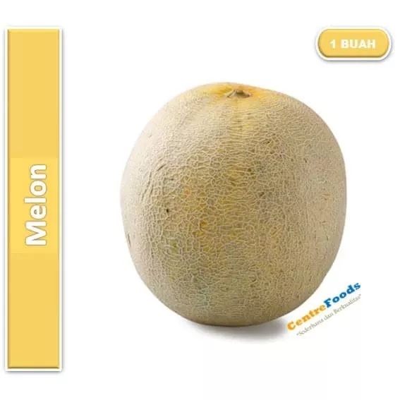 Detail Buah Melon Adalah Nomer 38