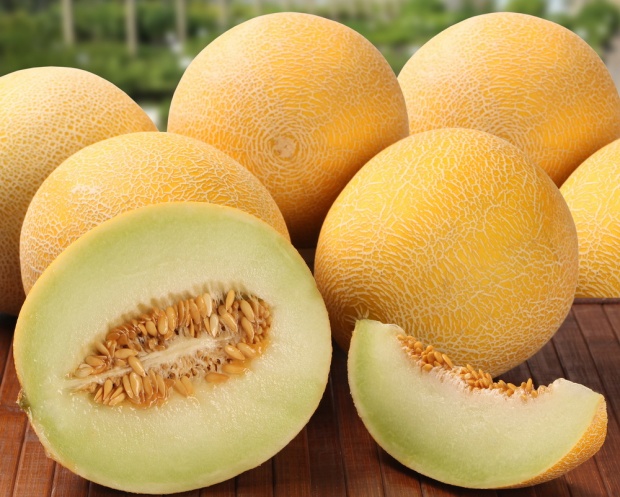 Detail Buah Melon Adalah Nomer 10