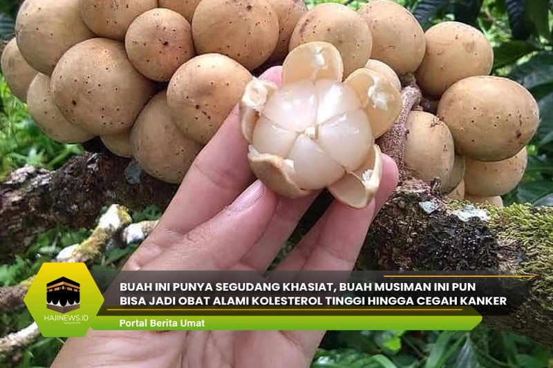 Detail Buah Musiman Adalah Nomer 29