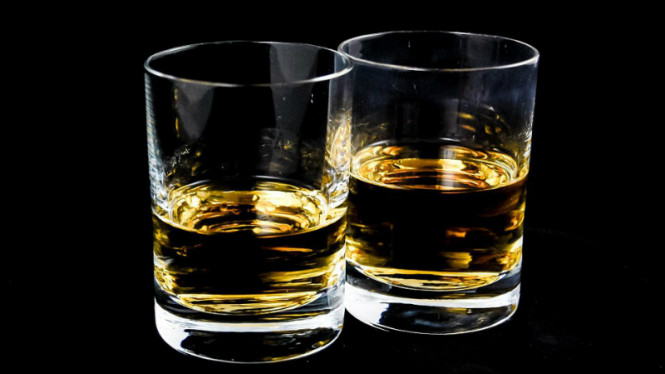 Detail Buah Tequila Adalah Nomer 11