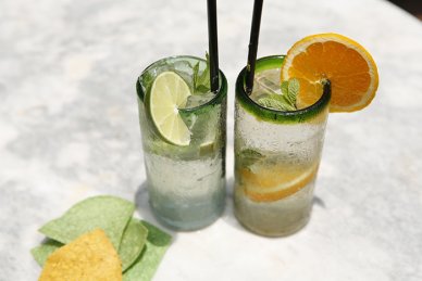 Detail Buah Tequila Adalah Nomer 41