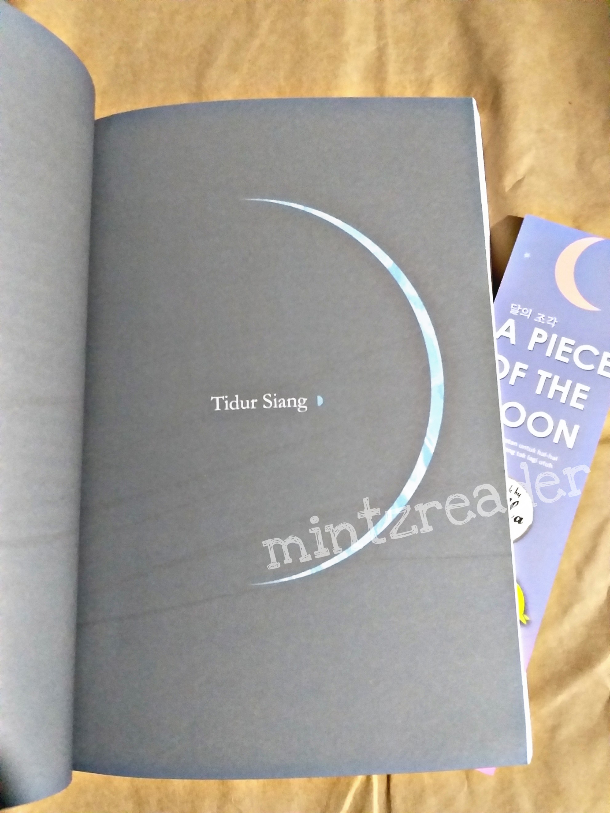 Detail Buku A Piece Of The Moon Nomer 8