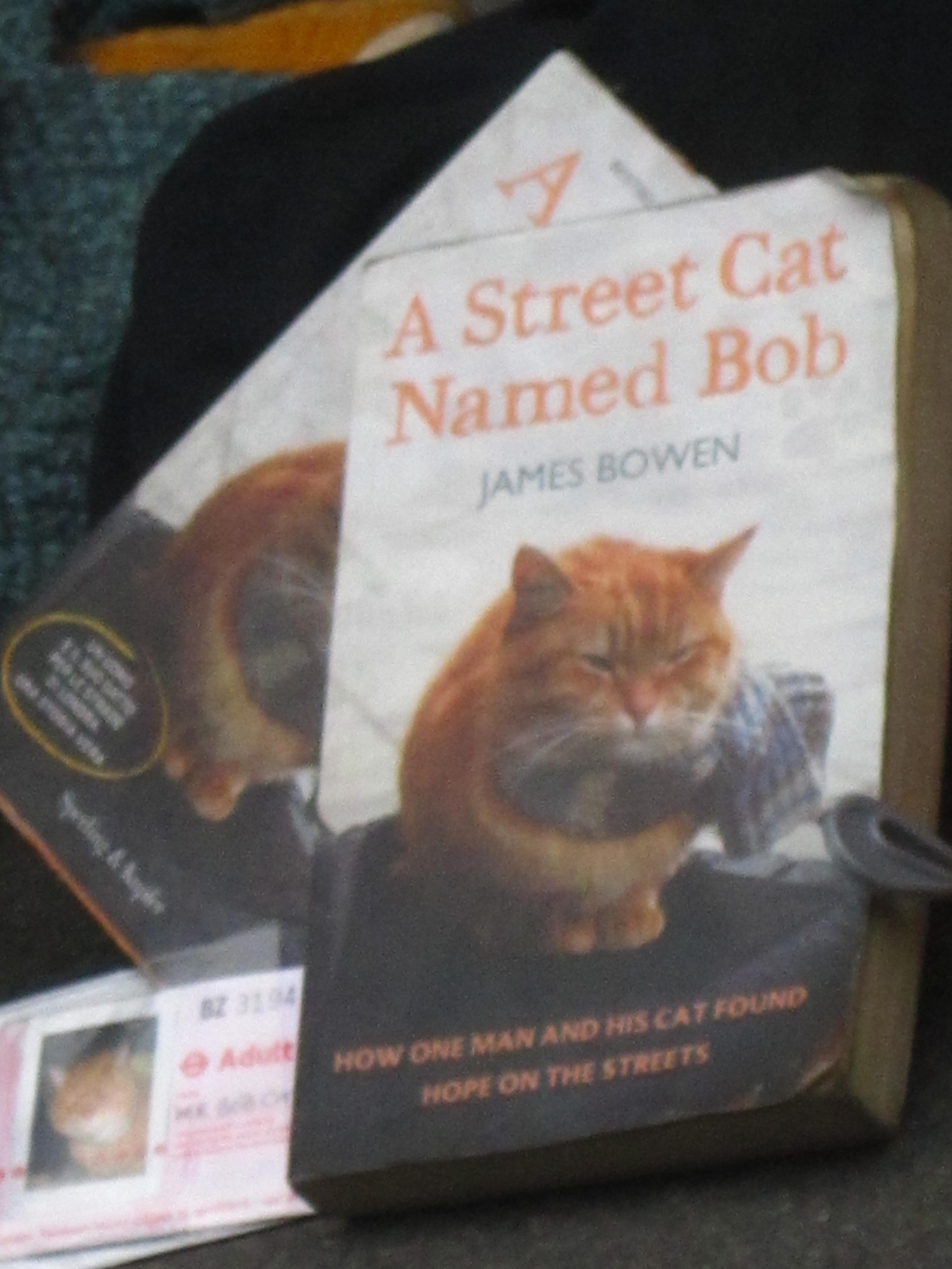 Detail Buku A Street Cat Named Bob Nomer 40