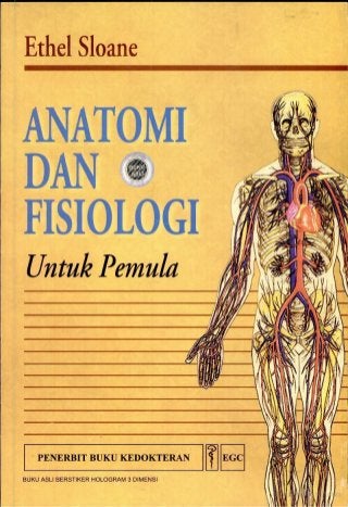Detail Buku Anatomi Fisiologi Manusia Download Nomer 2