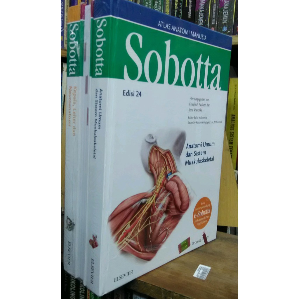 Detail Buku Anatomi Sobotta Nomer 10