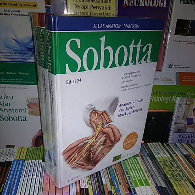 Detail Buku Anatomi Sobotta Nomer 14