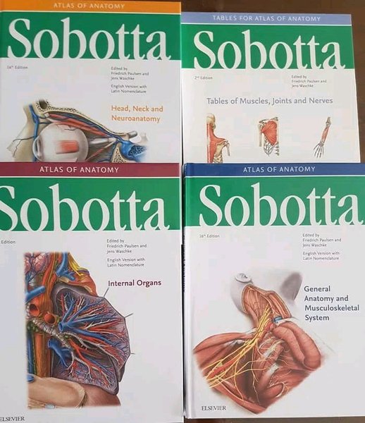 Detail Buku Anatomi Sobotta Nomer 3