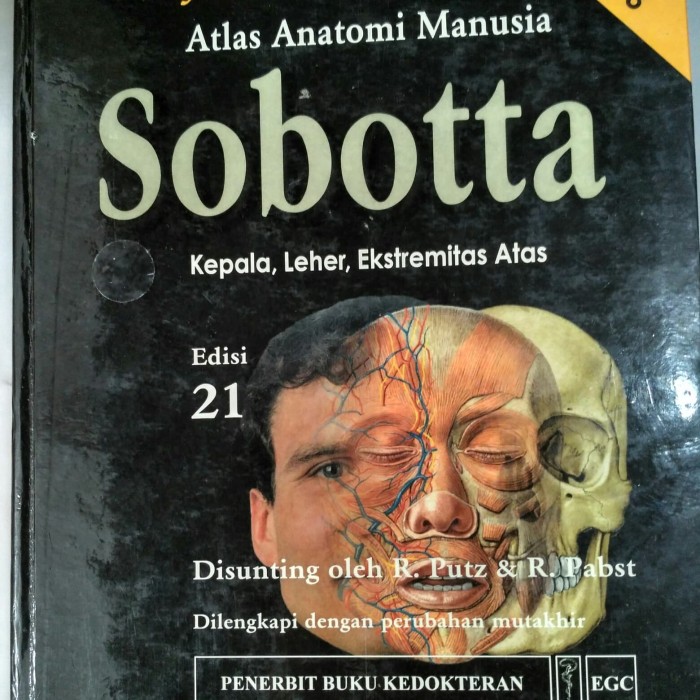 Detail Buku Anatomi Sobotta Nomer 32