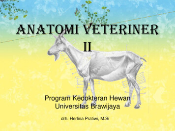 Download Buku Anatomi Veteriner Nomer 39