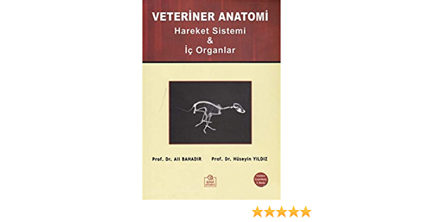 Detail Buku Anatomi Veteriner Nomer 46