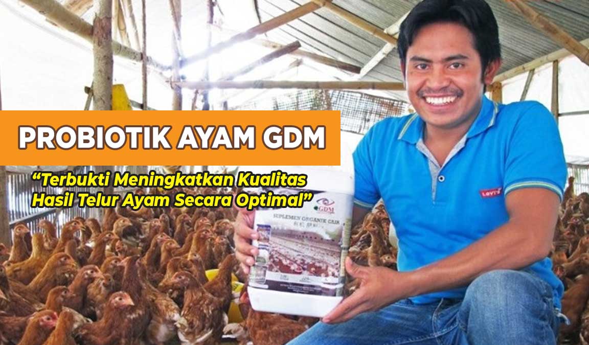 Detail Buku Ayam Petelur Nomer 28