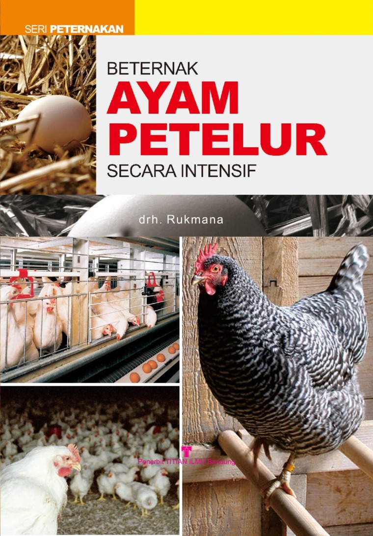 Detail Buku Ayam Petelur Nomer 6