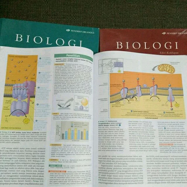 Detail Buku Biologi Campbell Nomer 31