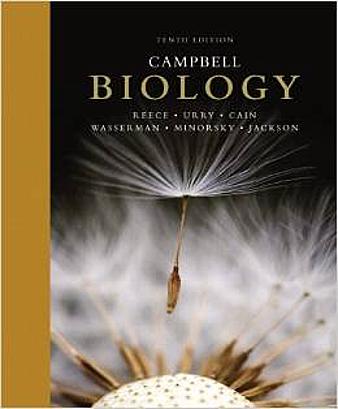 Detail Buku Biologi Campbell Jilid 1 Nomer 24