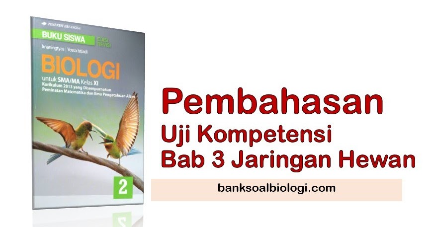 Detail Buku Biologi Erlangga Kelas 11 Nomer 22