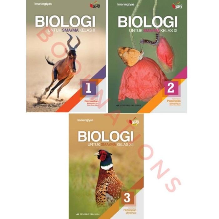 Detail Buku Biologi Erlangga Kelas 11 Nomer 24