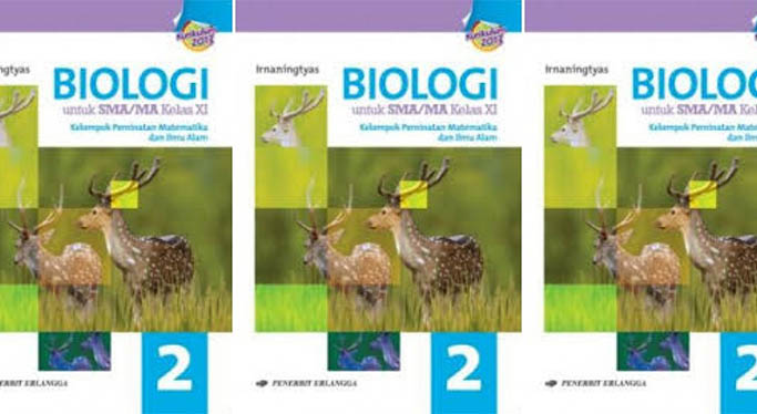 Detail Buku Biologi Erlangga Kelas 11 Kurikulum 2013 Nomer 32