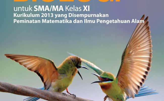 Detail Buku Biologi Erlangga Kelas 11 Kurikulum 2013 Nomer 40