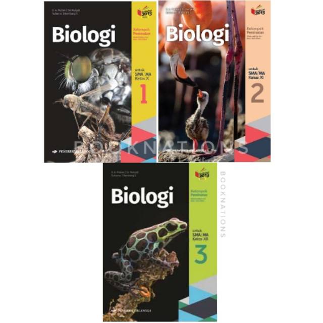 Detail Buku Biologi Kelas 10 Erlangga Nomer 49