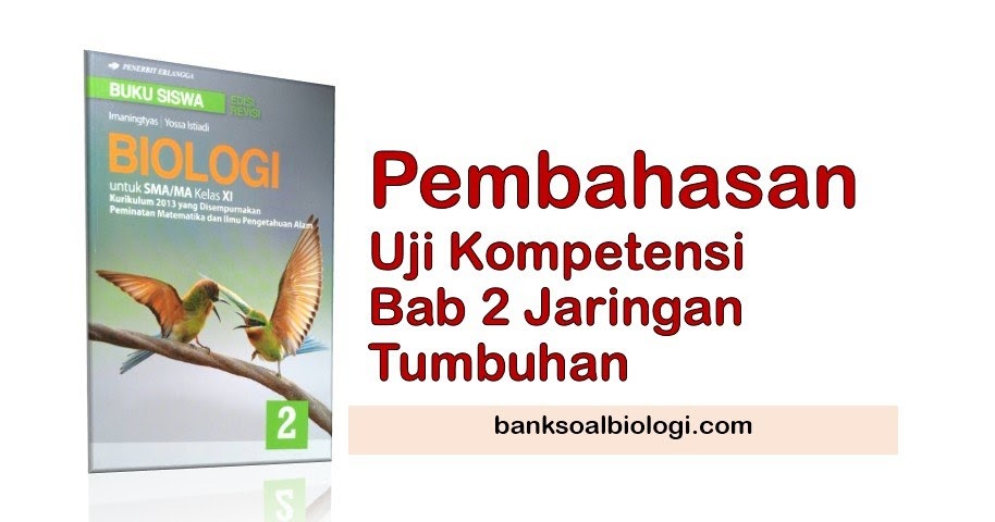 Detail Buku Biologi Kelas 11 Kurikulum 2013 Nomer 35