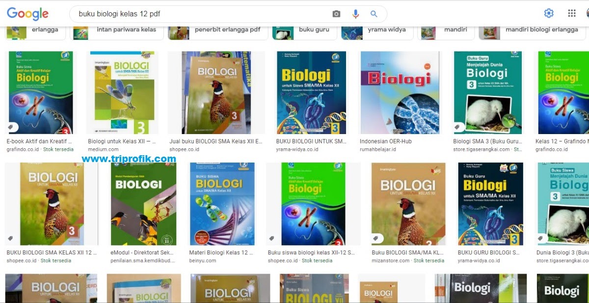 Detail Buku Biologi Kelas 12 Kurikulum 2013 Nomer 41