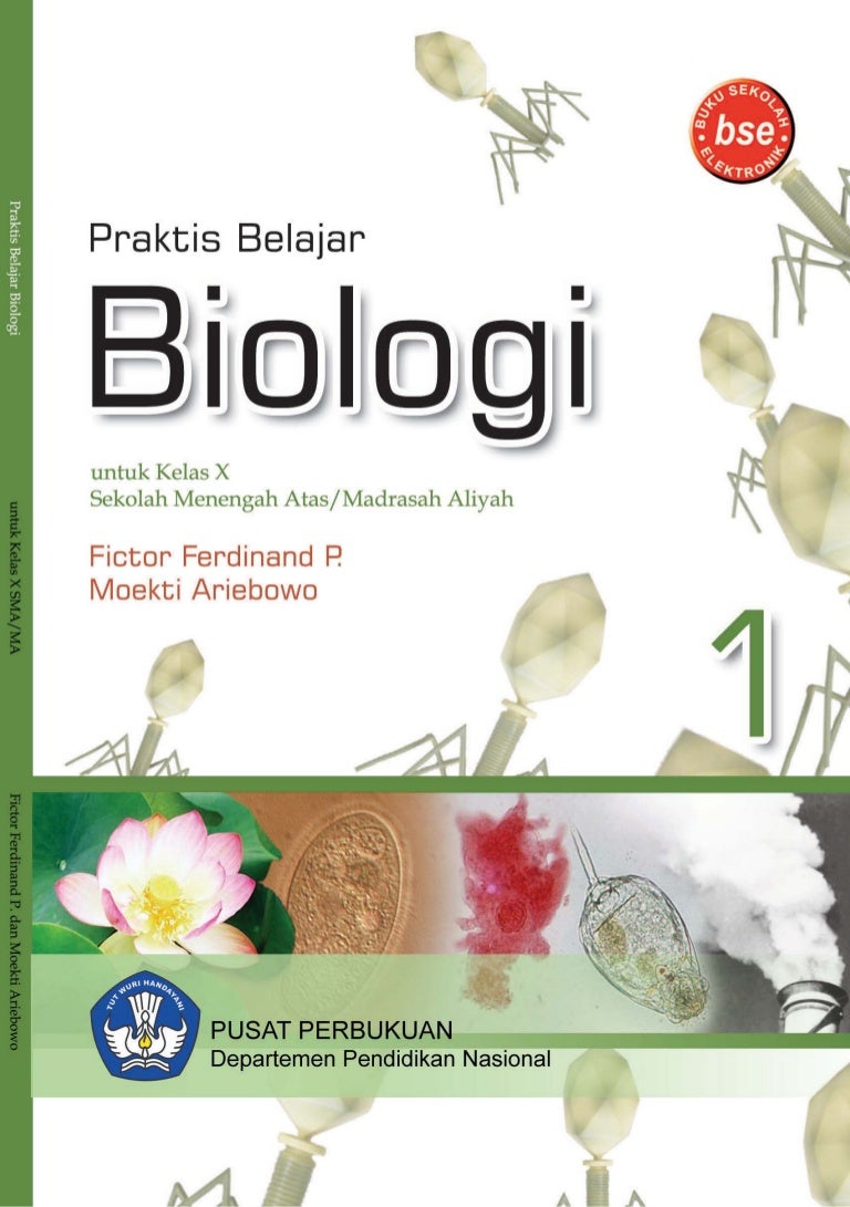 Detail Buku Biologi Sma Kelas 10 Kurikulum 2013 Nomer 20