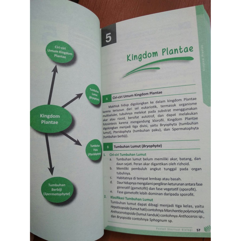 Detail Buku Biologi Tentang Fotosintesis Nomer 10