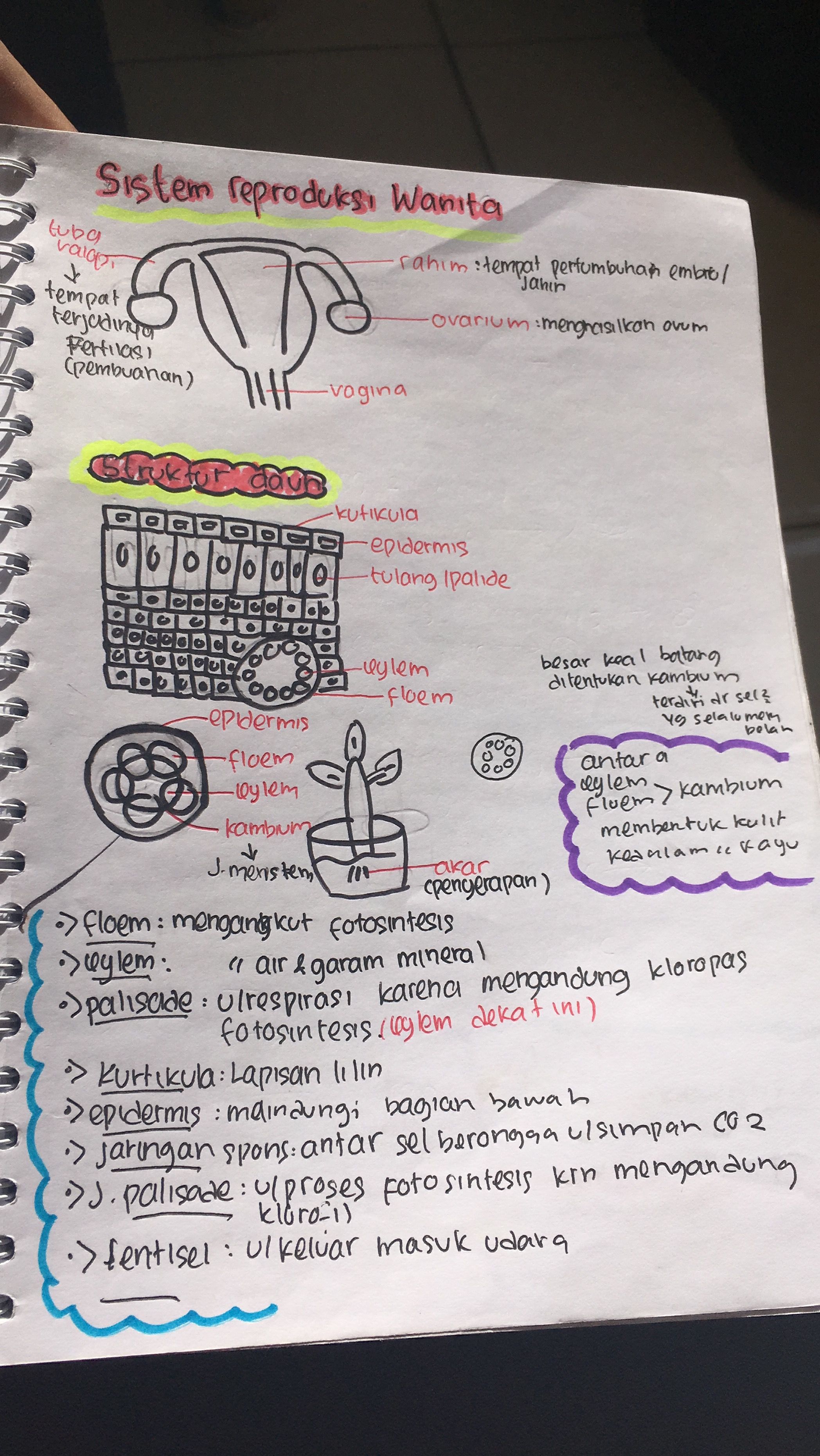 Detail Buku Biologi Tentang Fotosintesis Nomer 27