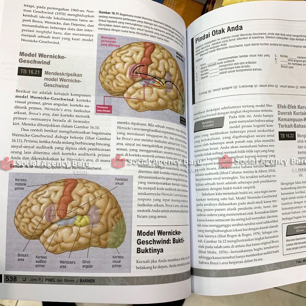 Detail Buku Biopsikologi Pinel Edisi 10 Nomer 15