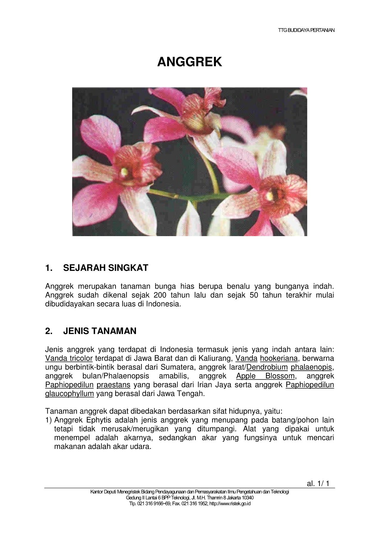 Detail Buku Budidaya Anggrek Nomer 43