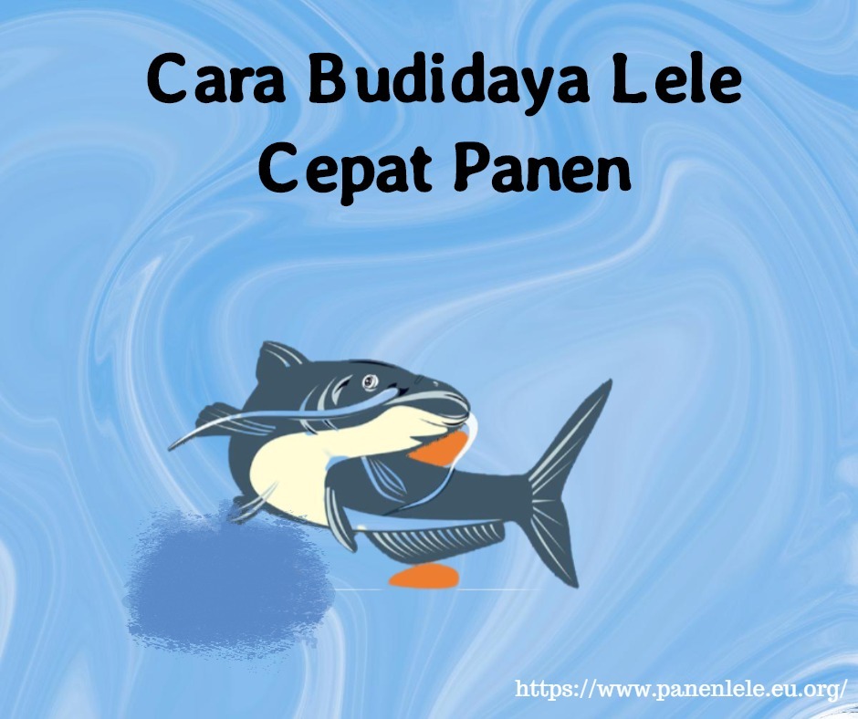 Detail Buku Budidaya Lele Nomer 40