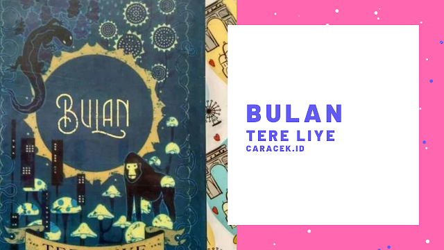 Detail Buku Bulan Tere Liye Nomer 40