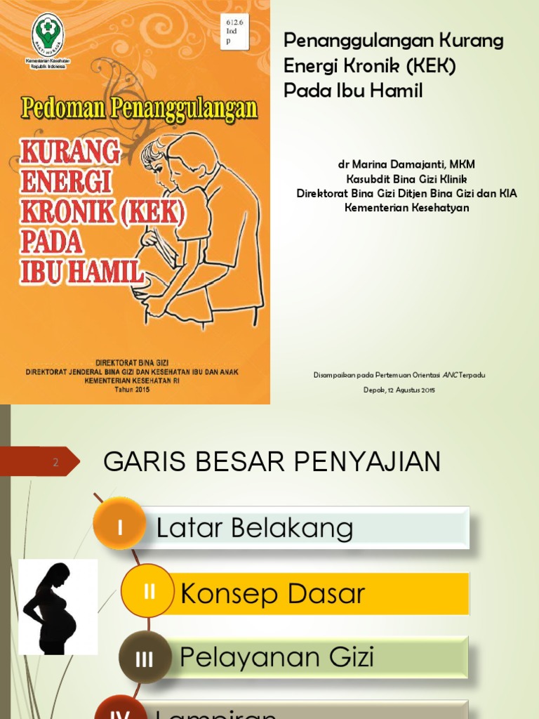 Detail Buku Bumil Kek Nomer 7