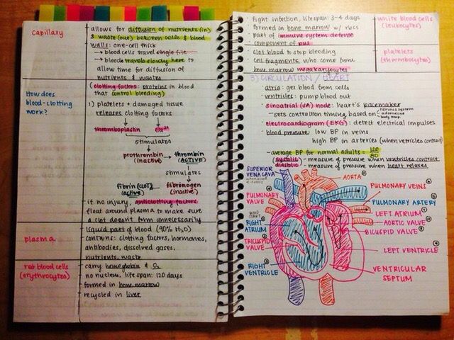 Detail Buku Catatan Sekolah Nomer 32