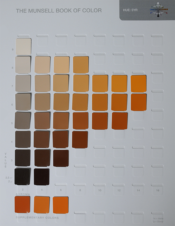 Detail Buku Color Basic Nomer 26