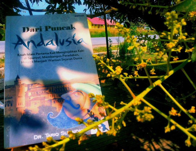 Detail Buku Dari Puncak Andalusia Nomer 25