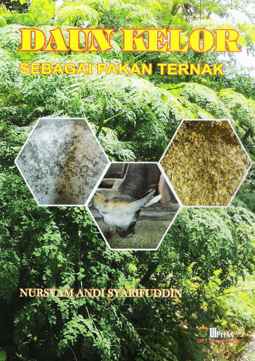 Detail Buku Daun Kelor Nomer 26