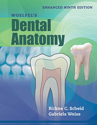 Detail Buku Dental Anatomi Nomer 11