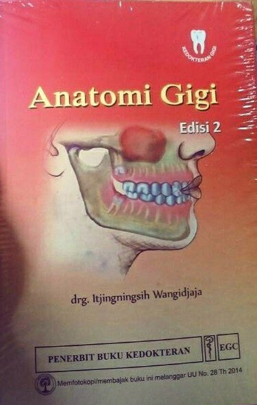 Detail Buku Dental Anatomi Nomer 29