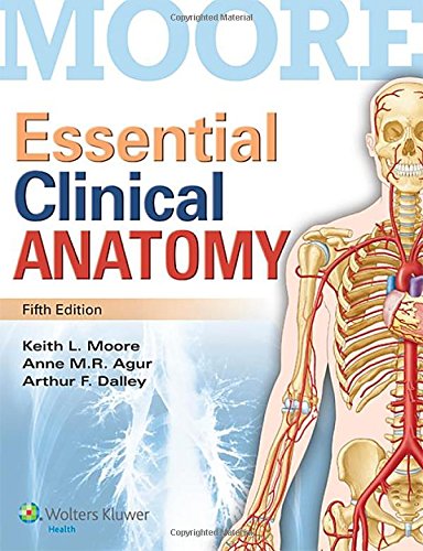 Detail Buku Dental Anatomi Nomer 34