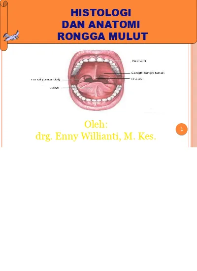 Detail Buku Dental Anatomi Nomer 39