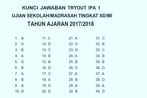 Detail Buku Detik Detik Un Sd 2017 2018 Nomer 42