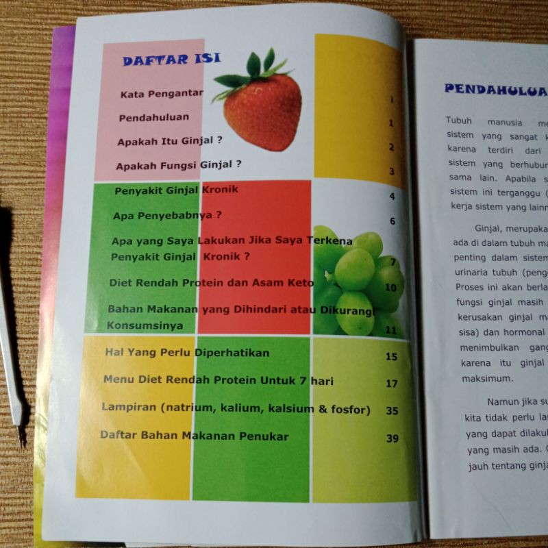 Detail Buku Diet Penderita Ginjal Nomer 34